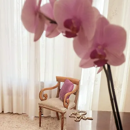 [casa Rooms&tabacchi] Ideale Per Gruppi * SantʼElpidio a Mare